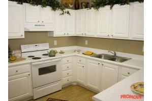 Tree Park - Photo 3 of 10