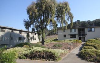 1569 Pershing Drive #G - Photo 1 of 1