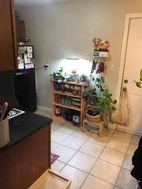 31 Fleet St #9 - Photo 4 of 23