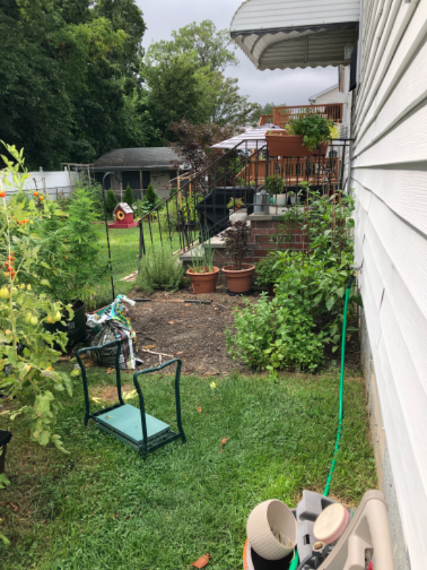 1249 New York Ave #1stFL - Photo 3 of 6