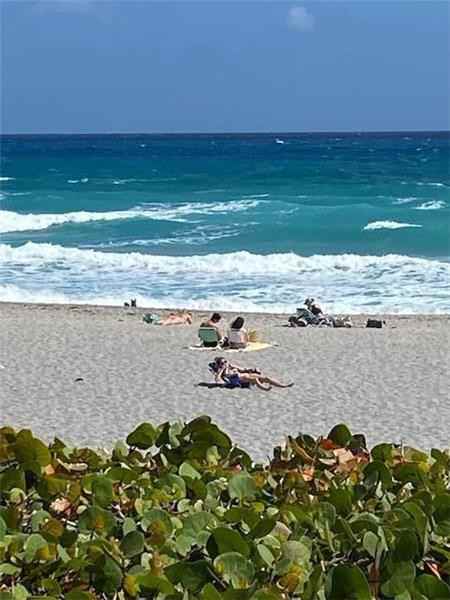 834 Oak Harbour Dr - Photo 3 of 12