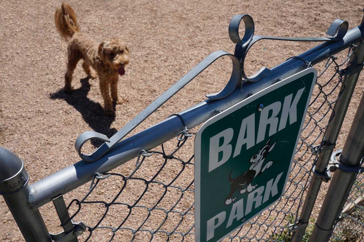 Stone Canyon Apartments - Photo 5 of 49