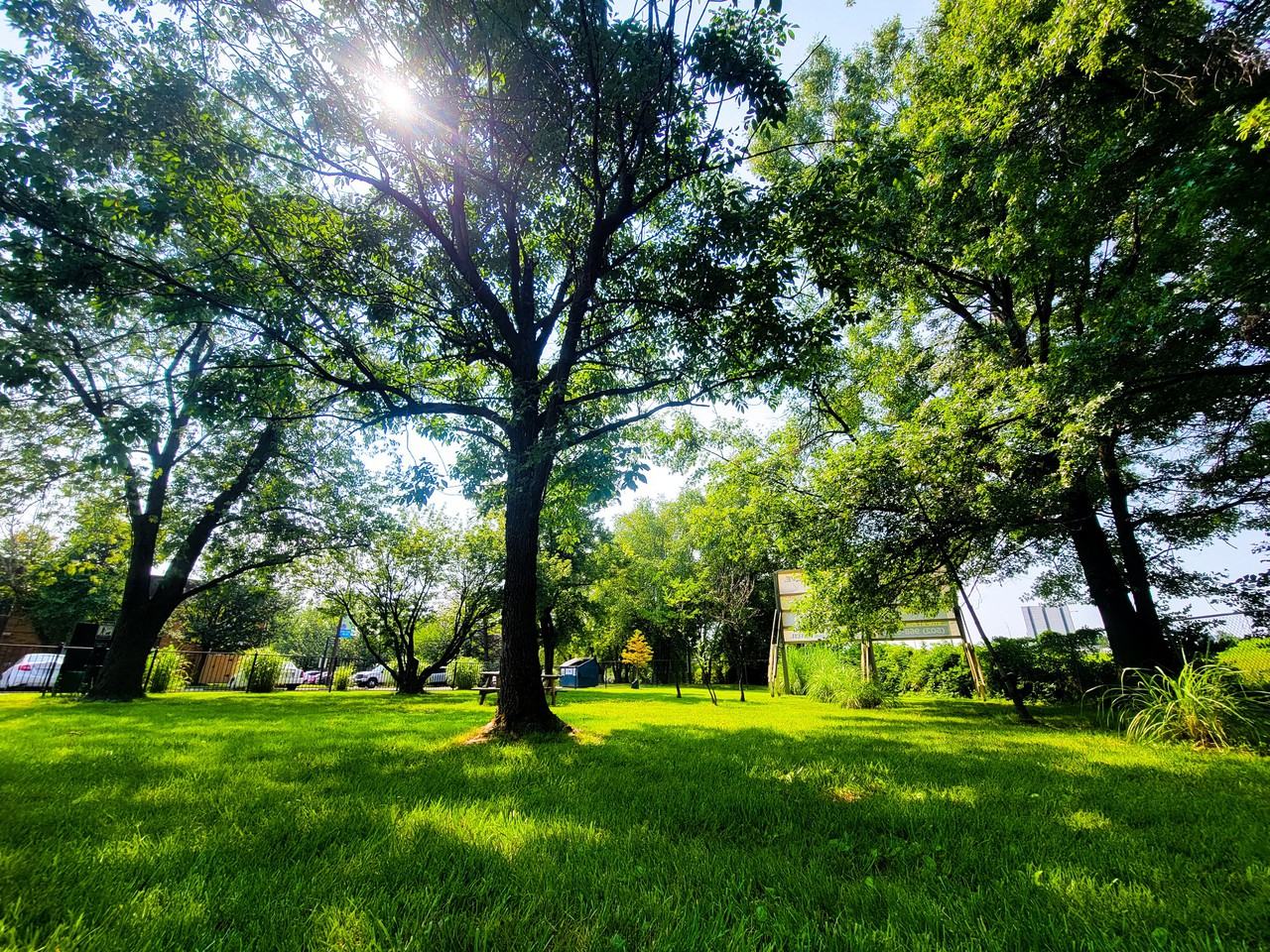 Tanglewood Apartments - Photo 4 of 24