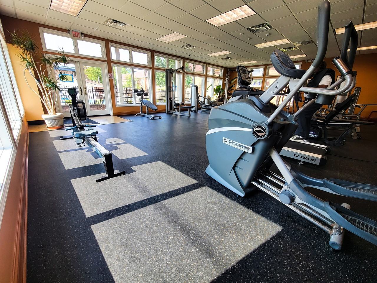 Tanglewood Apartments - Photo 6 of 24