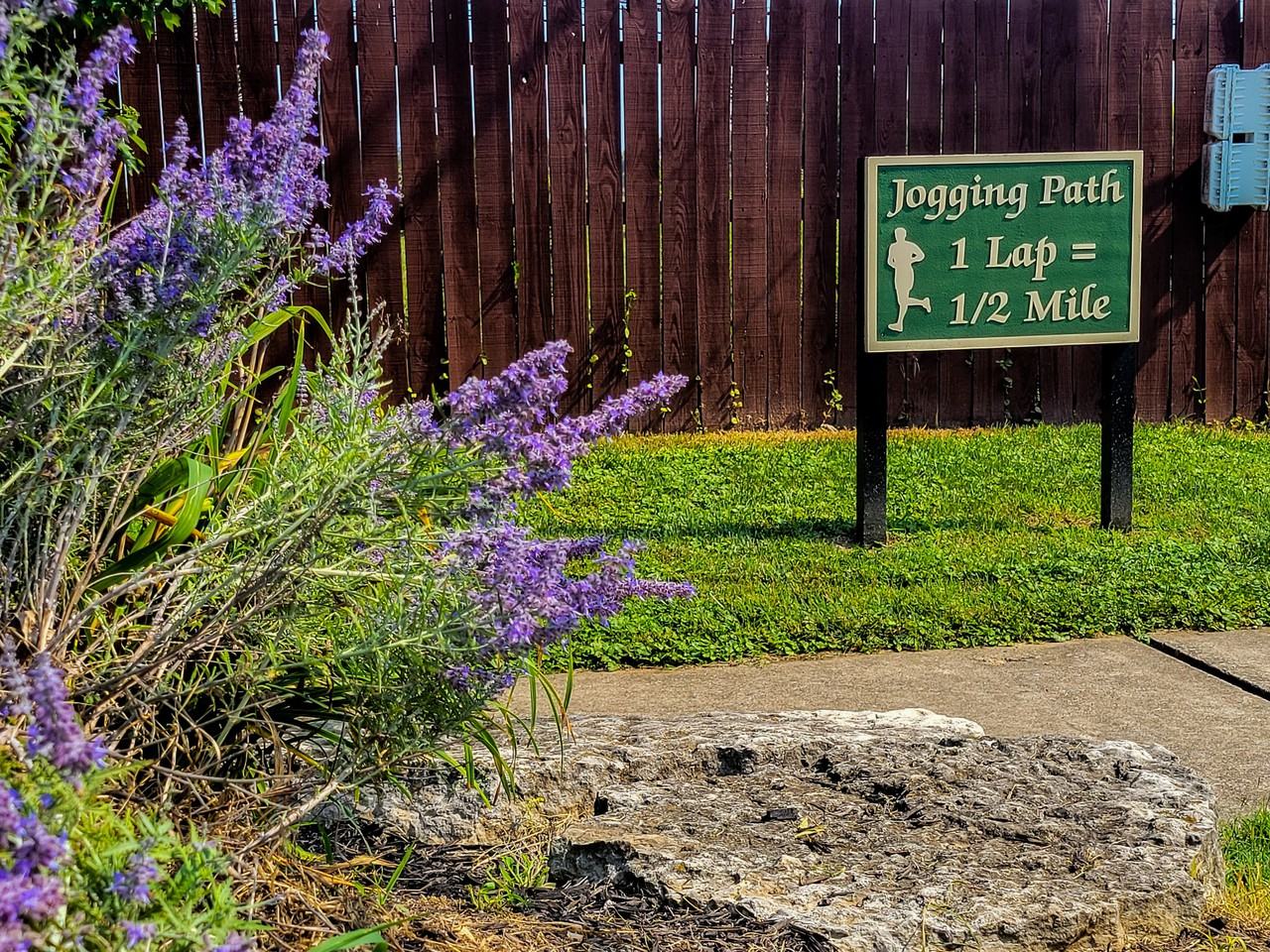 Tanglewood Apartments - Photo 7 of 24