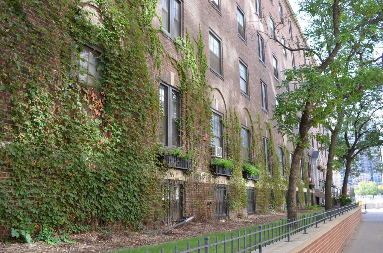 Paige Hall - Photo 2 of 14