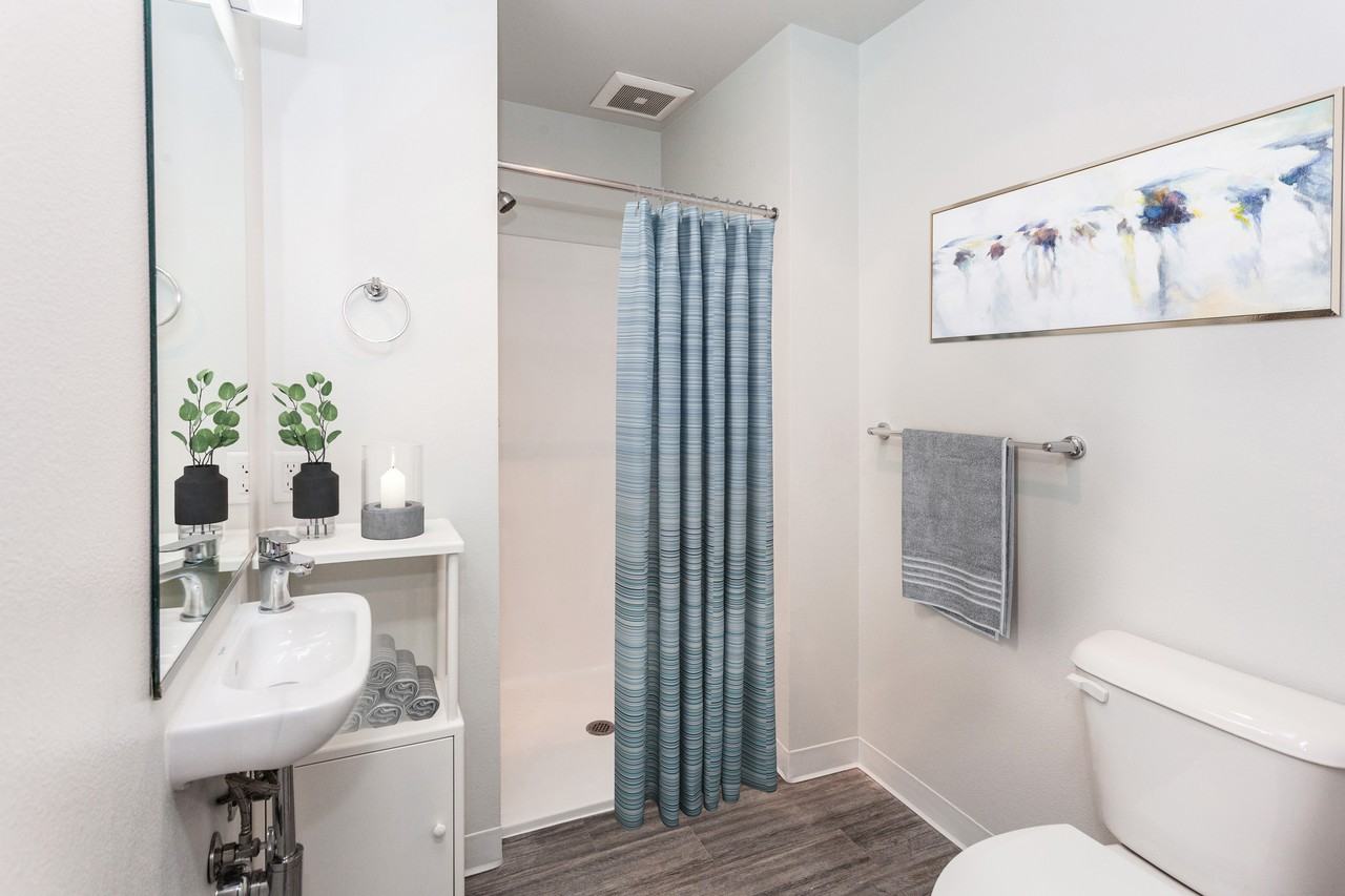 The Cleary Apartments - Photo 5 of 43