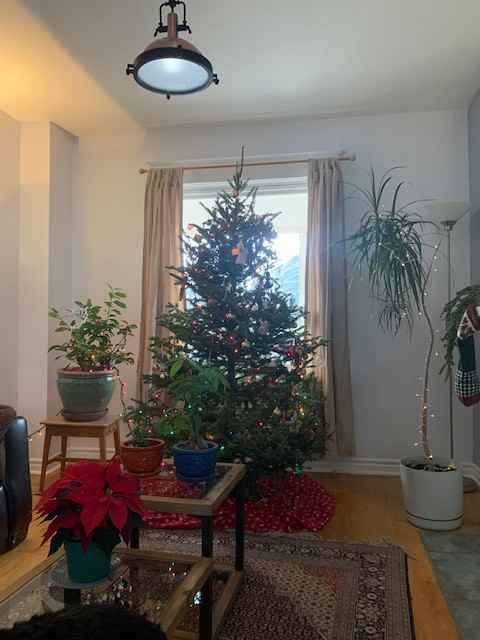 121 Roseheath Ave - Photo 3 of 8