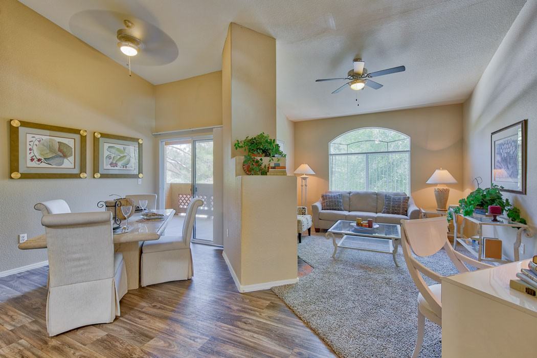 Serena Shores - Photo 3 of 15