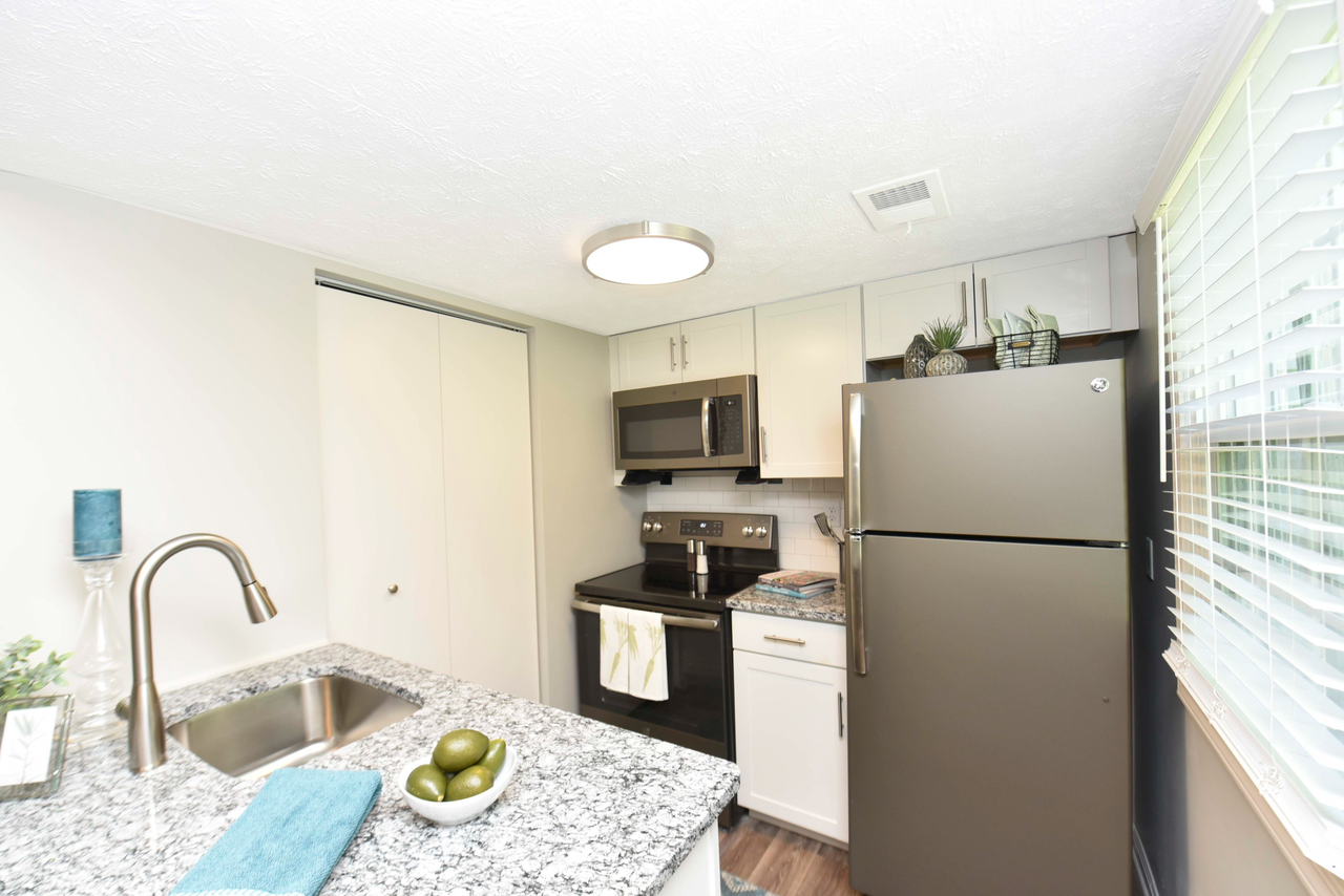 Sova - Photo 2 of 43