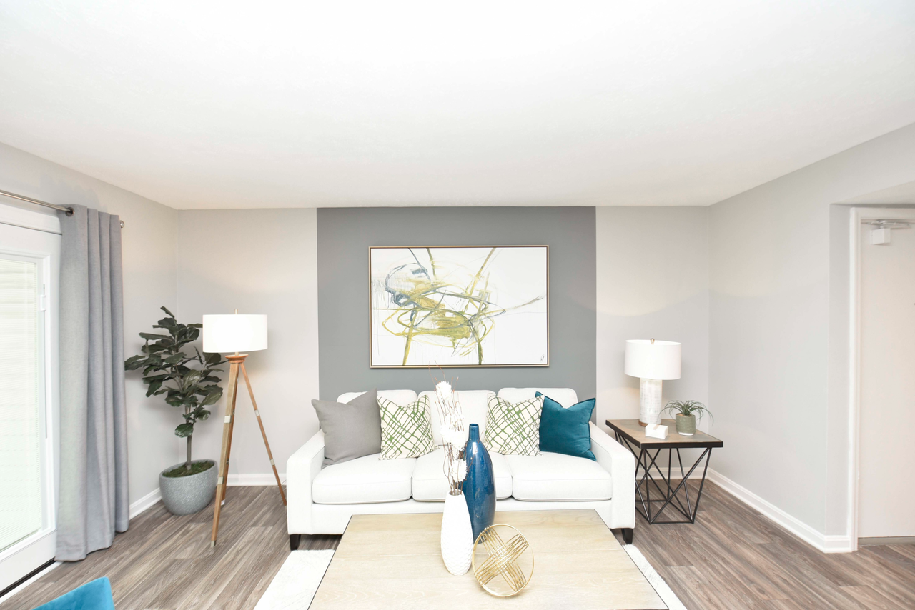 Sova - Photo 4 of 43