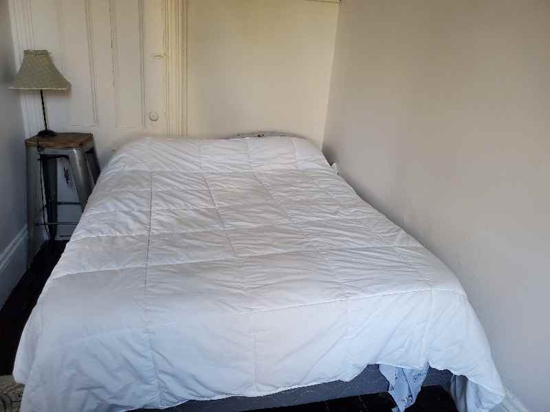 29 Beech Glen Street #2 - Photo 6 of 15