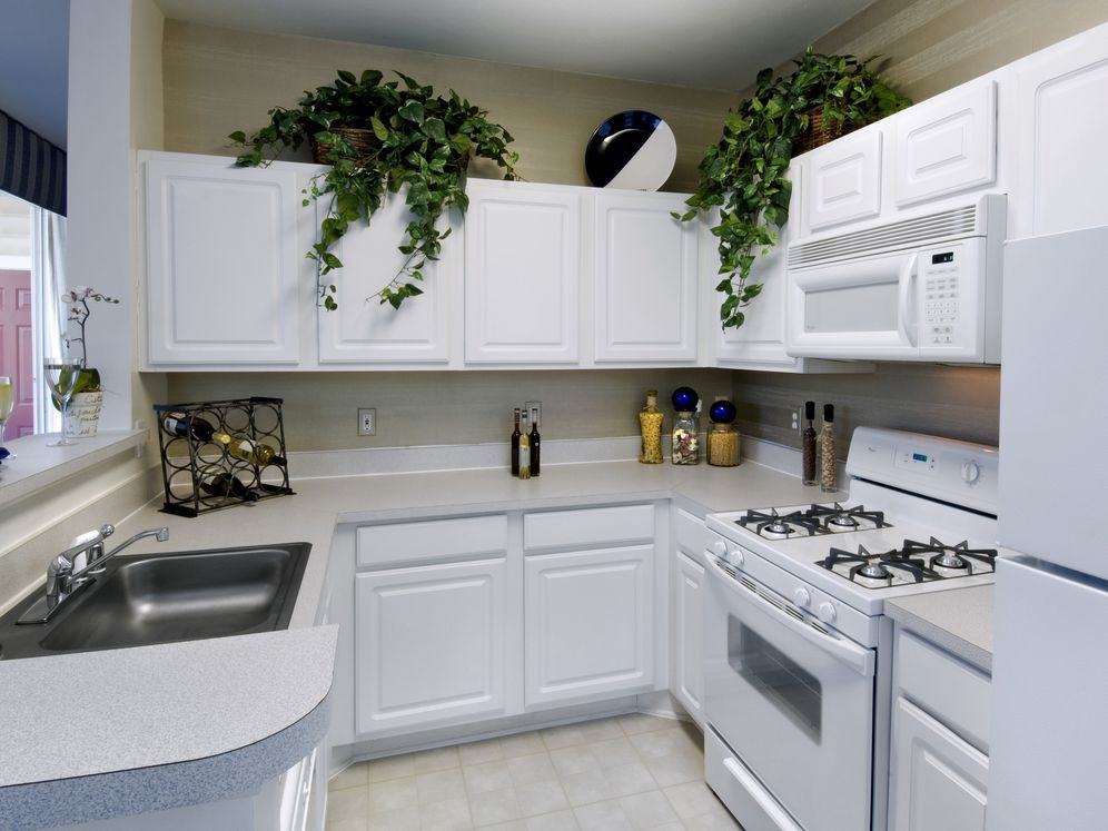 Avalon Russett - Photo 7 of 34