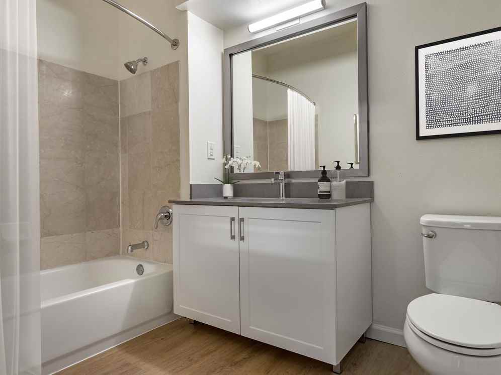 Avalon Cove - Photo 4 of 50