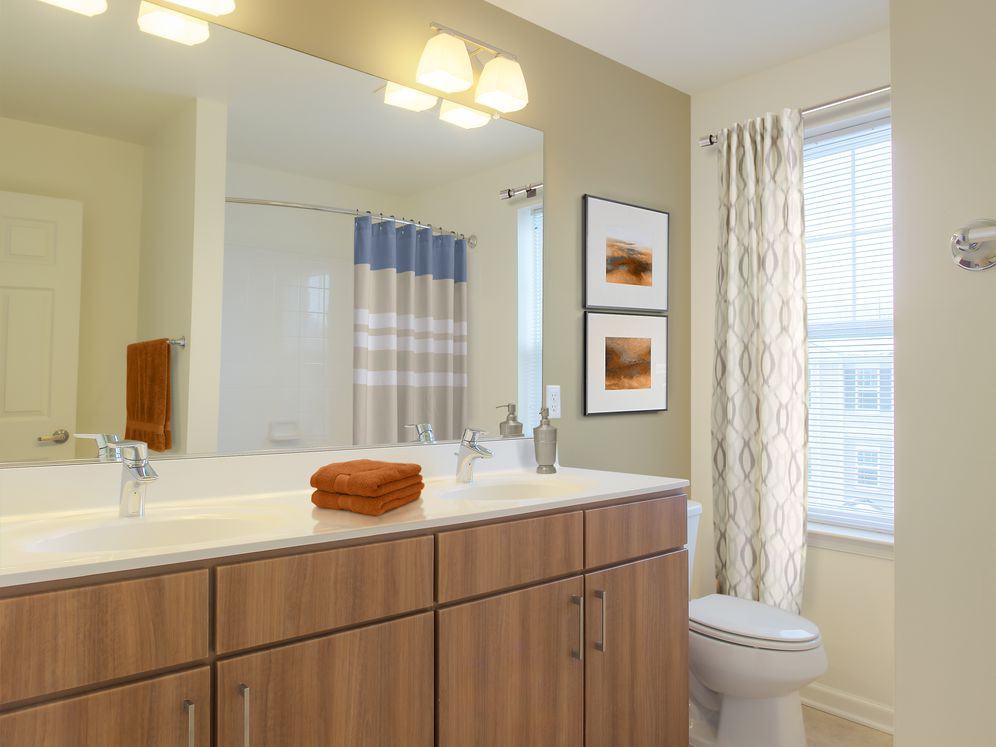 Avalon Townhome Collection Roseland Townhouses - Photo 5 of 28