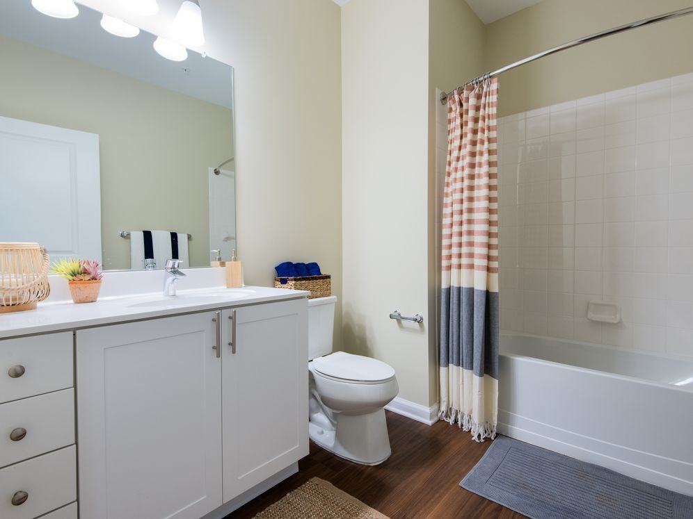 Avalon Somers - Photo 4 of 22