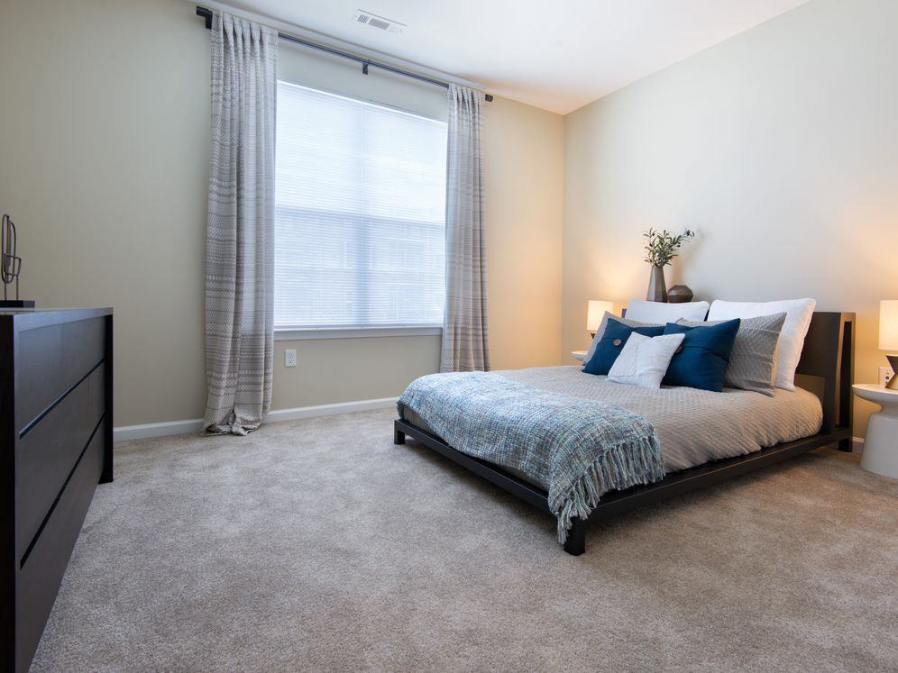 Avalon Somers - Photo 6 of 22