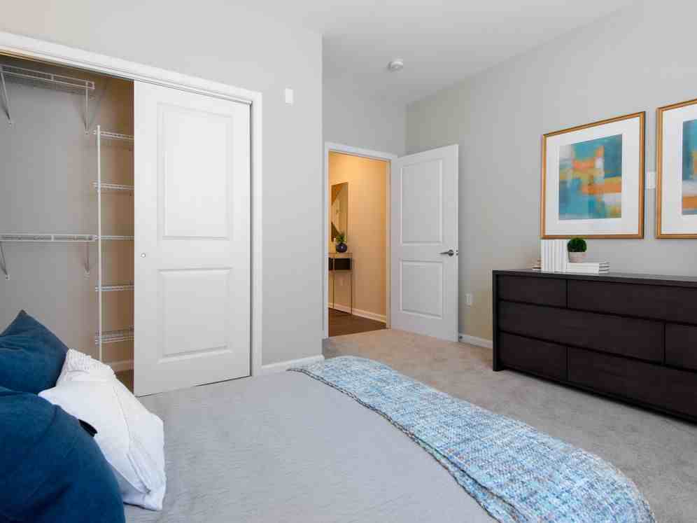 Avalon Somers - Photo 7 of 22