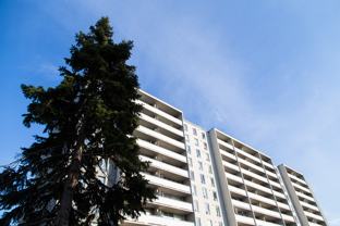 Apartment for rent at 11 Antrim Crescent - Photo 1 of 1