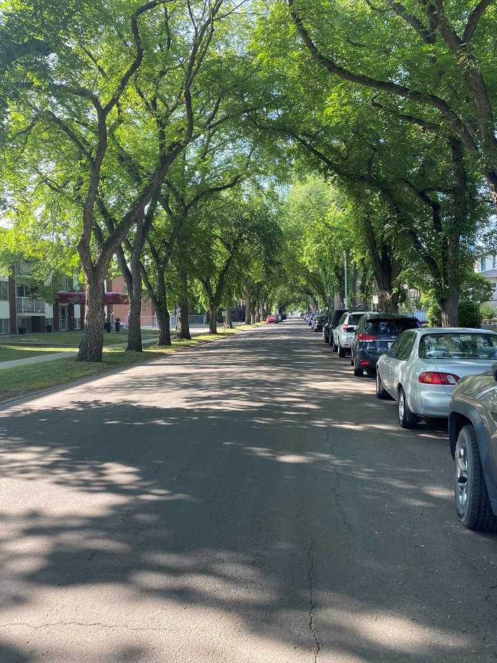 Princeton Manor Apartments 10235 119 St Nw, Edmonton, AB T5K 1Z3 Zumper