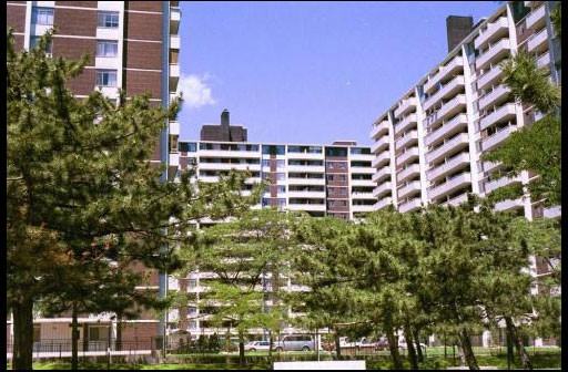 Rose Park Apartments 135 Rose Ave, Toronto, ON M4X 1P1 Zumper