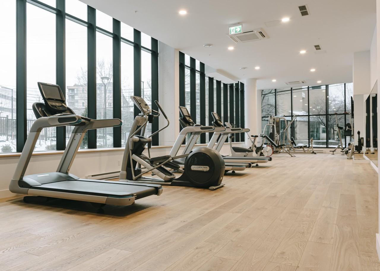 Vue Phase 7 - Photo 3 of 22