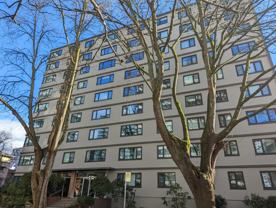 Maple Apartments - Photo 1 of 1