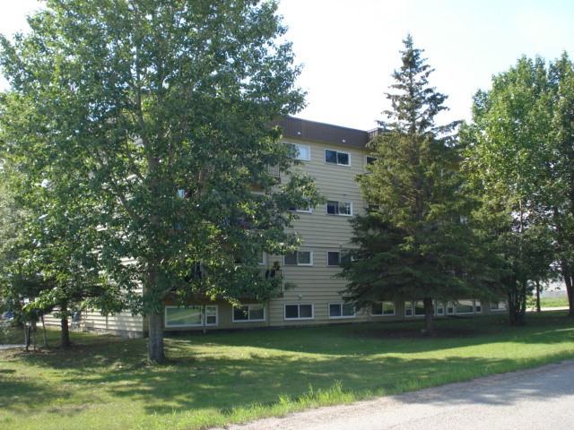 Nahanni Manor - Photo 3 of 5