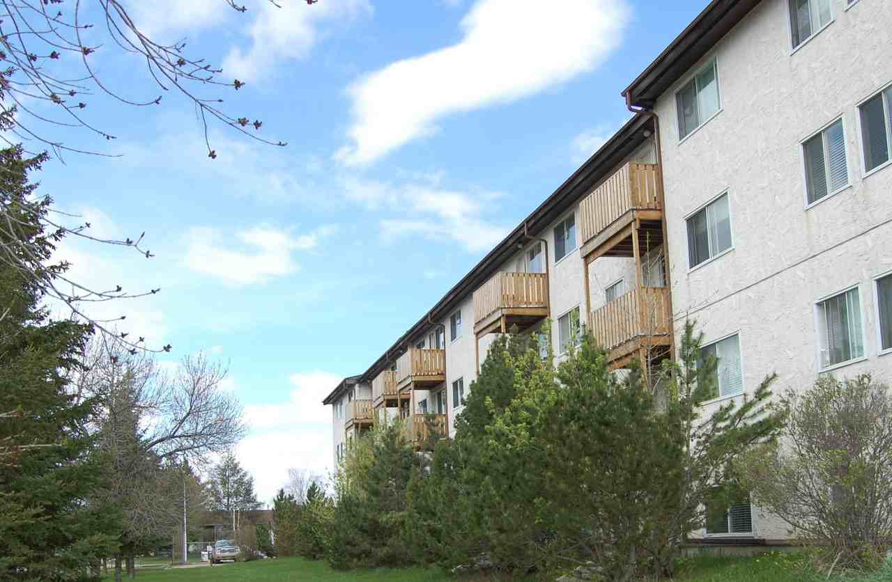 St Paul & Desjardins Apartments - Photo 2 of 12