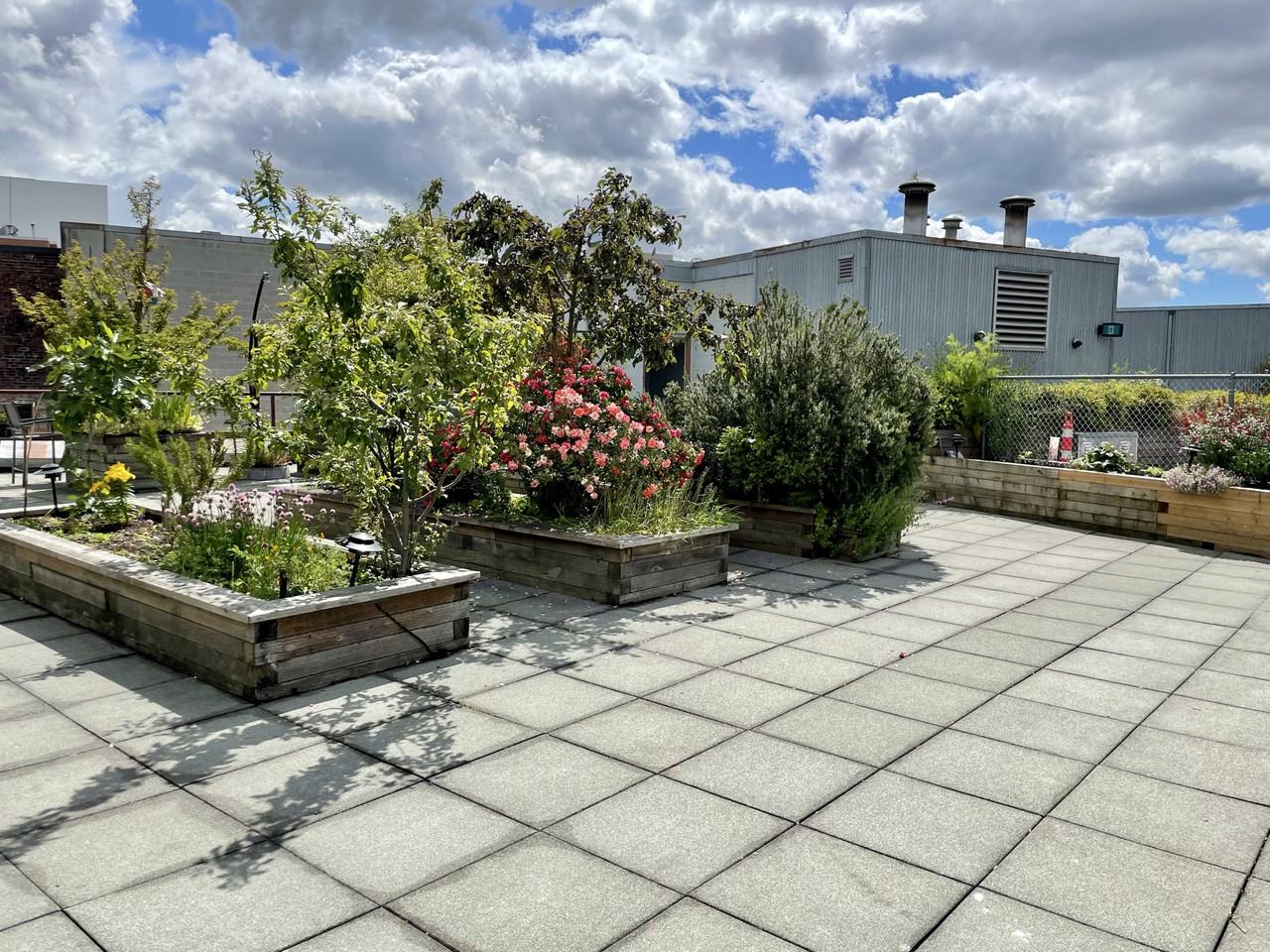 321 Railway Street - Photo 2 of 21