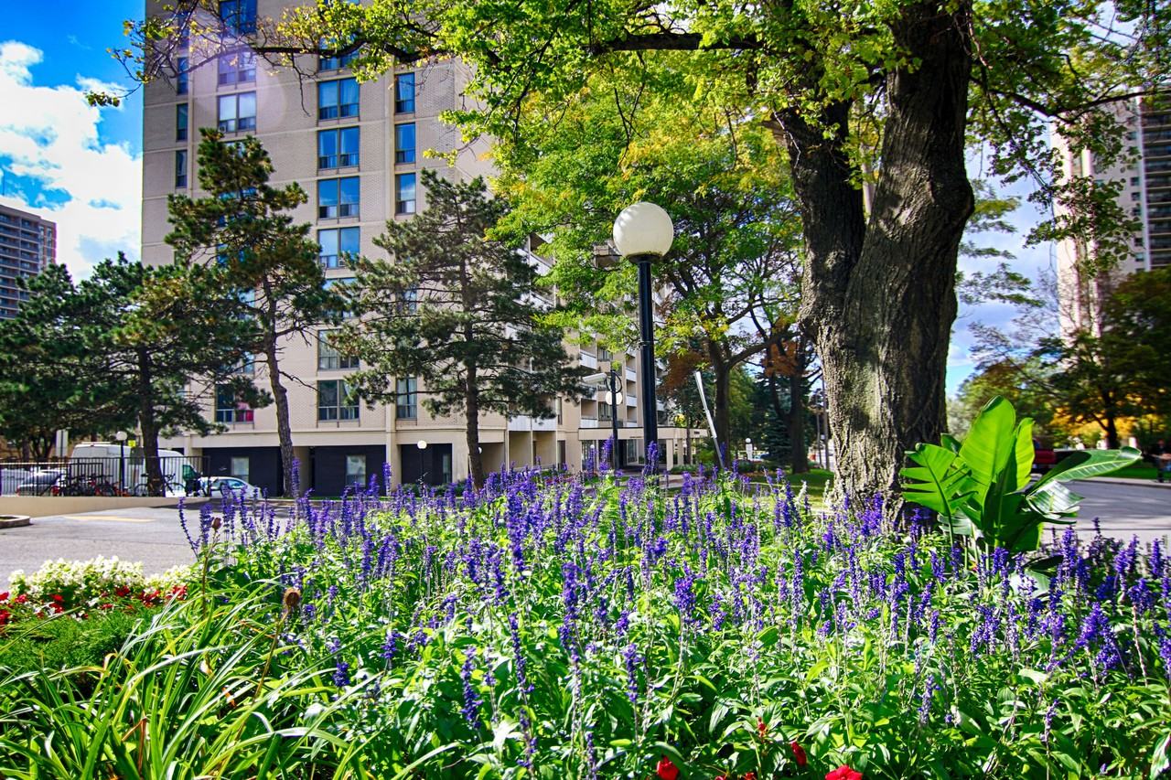 Rosebury Square - Photo 2 of 18