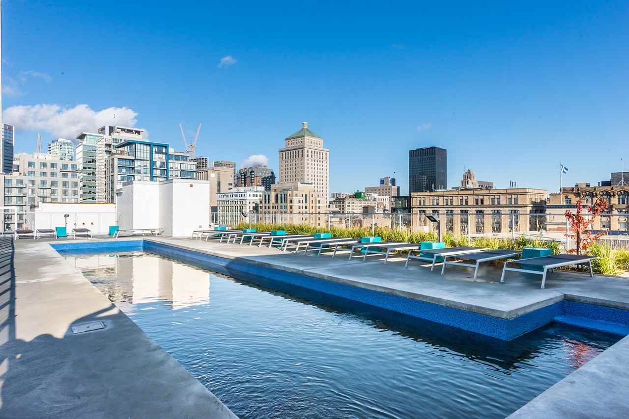 Square William - Photo 2 of 50