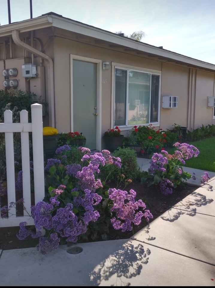 Pacifica Palms Apartments - Photo 3 of 10