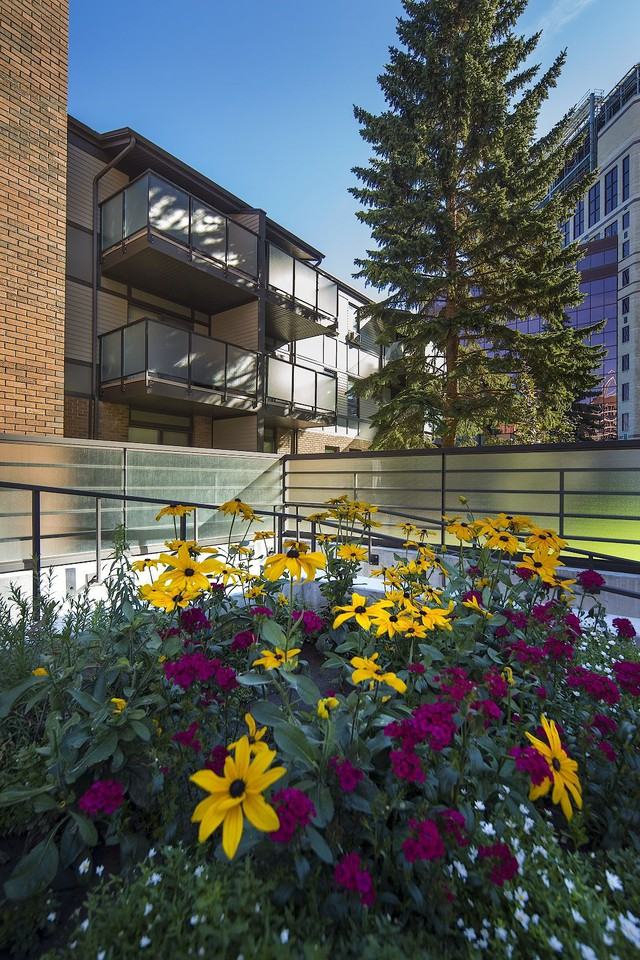 Eau Claire Manor - Photo 5 of 11