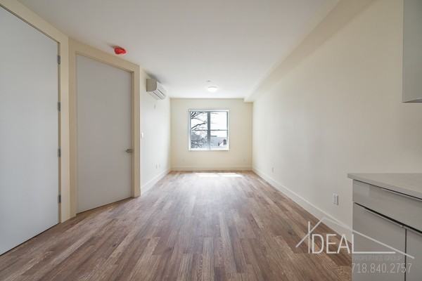 Beverley Road & East 16th St, Brooklyn, NY 11226, US #5B - Photo 2 of 6