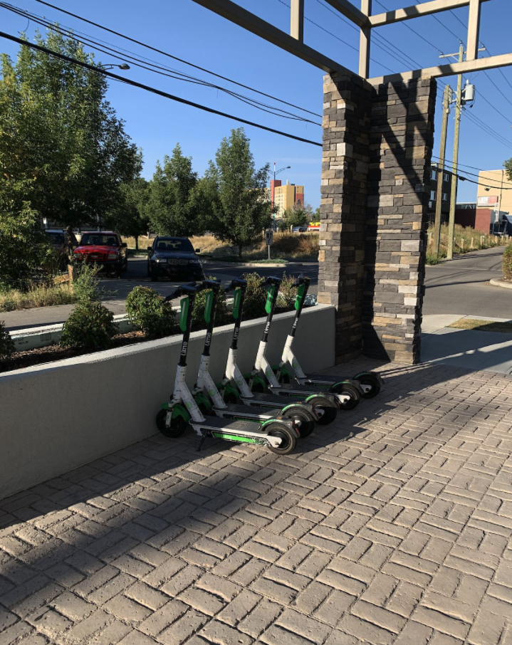 The Delaney Apartments 851 17 Ave Nw, Calgary, AB T2M 0P1 Zumper