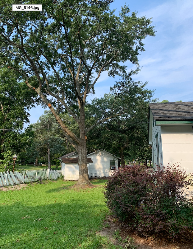 709 Collins St - Photo 2 of 4