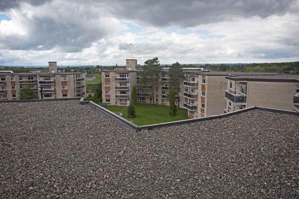 Pine Allard Properties - Photo 5 of 41