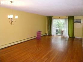73 Charlesbank Rd #202 - Photo 1 of 1
