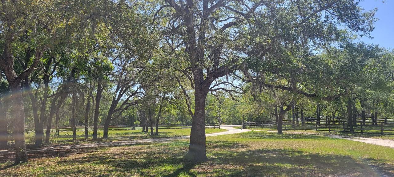14175 Hurricane Dr - Photo 2 of 24