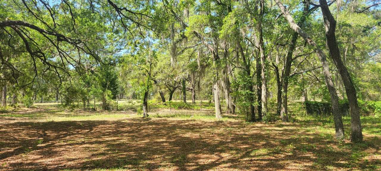 14175 Hurricane Dr - Photo 5 of 24