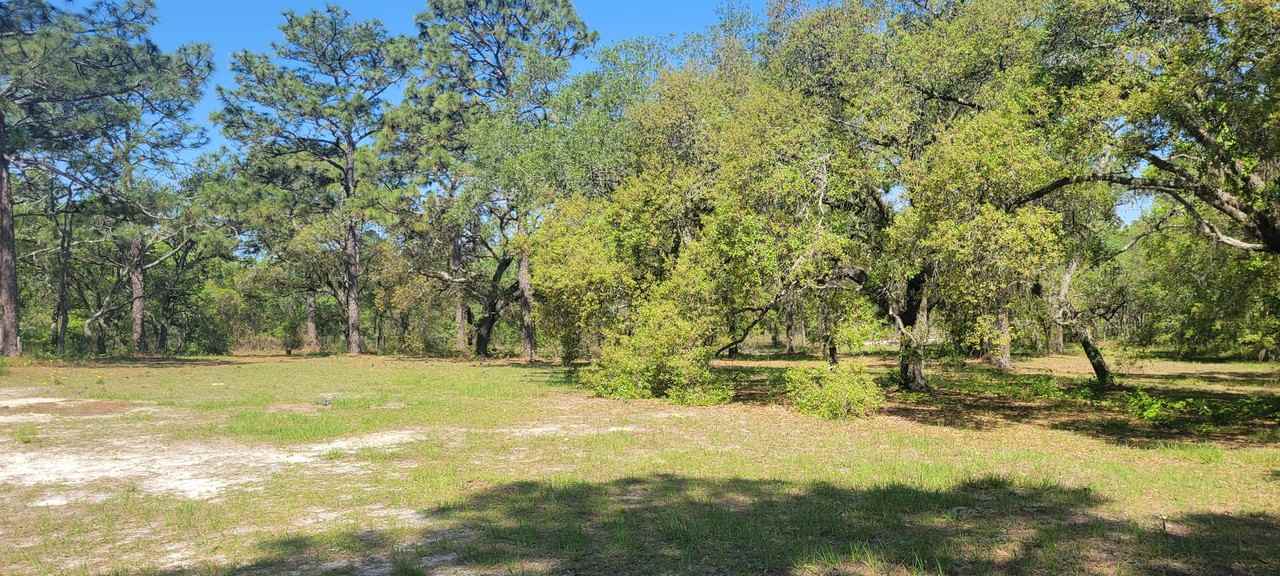 14175 Hurricane Dr - Photo 6 of 24