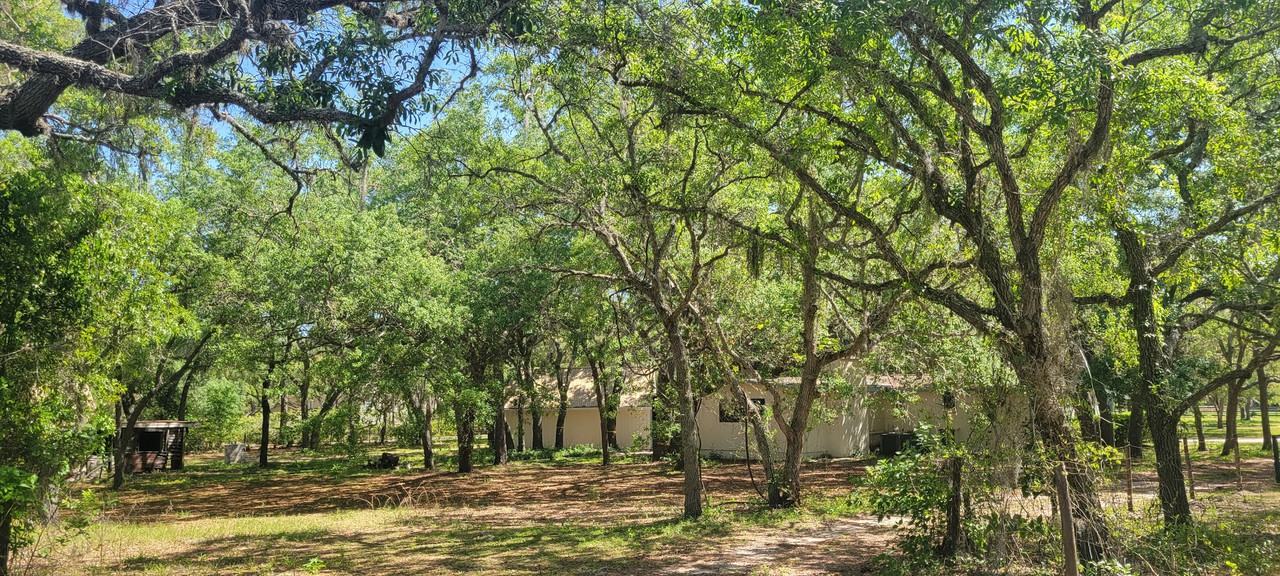 14175 Hurricane Dr - Photo 7 of 24
