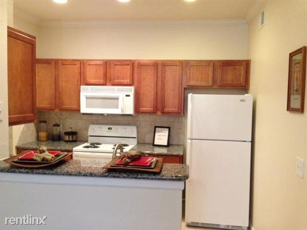 541 Farm to Market Rd 1488 #1X111