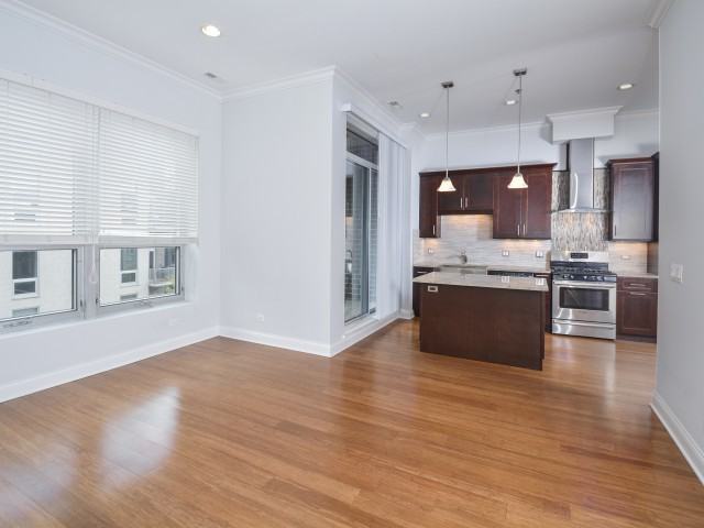 1048 W Madison St #305 - Photo 3 of 11