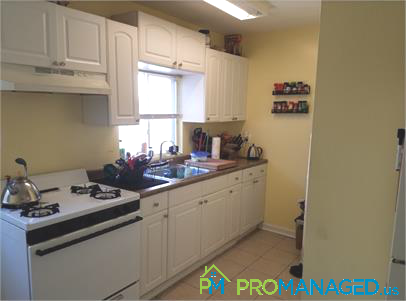 815 Livingston St #1 - Photo 6 of 10