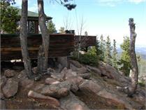 31557 Conifer Mountain Dr #1 - Photo 2 of 15