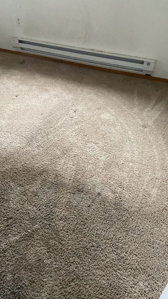 2902 #5 - Photo 4 of 9