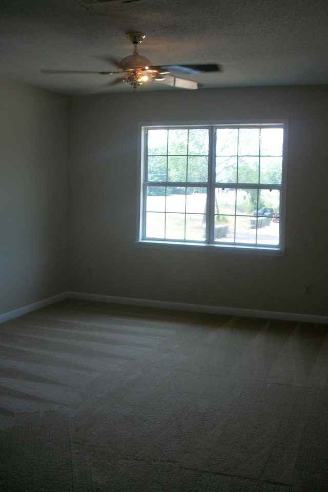 102 Gunter Ln A & B - Photo 3 of 3