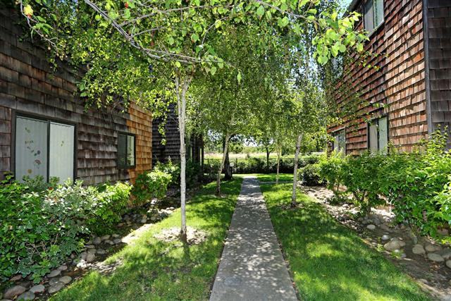 HARBOR ISLE - Photo 7 of 32